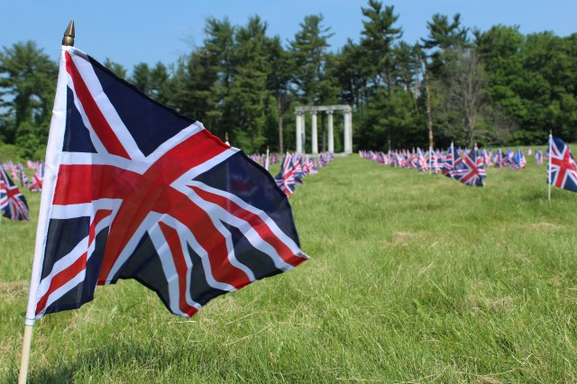 Close Up - Flags on Memorial Day