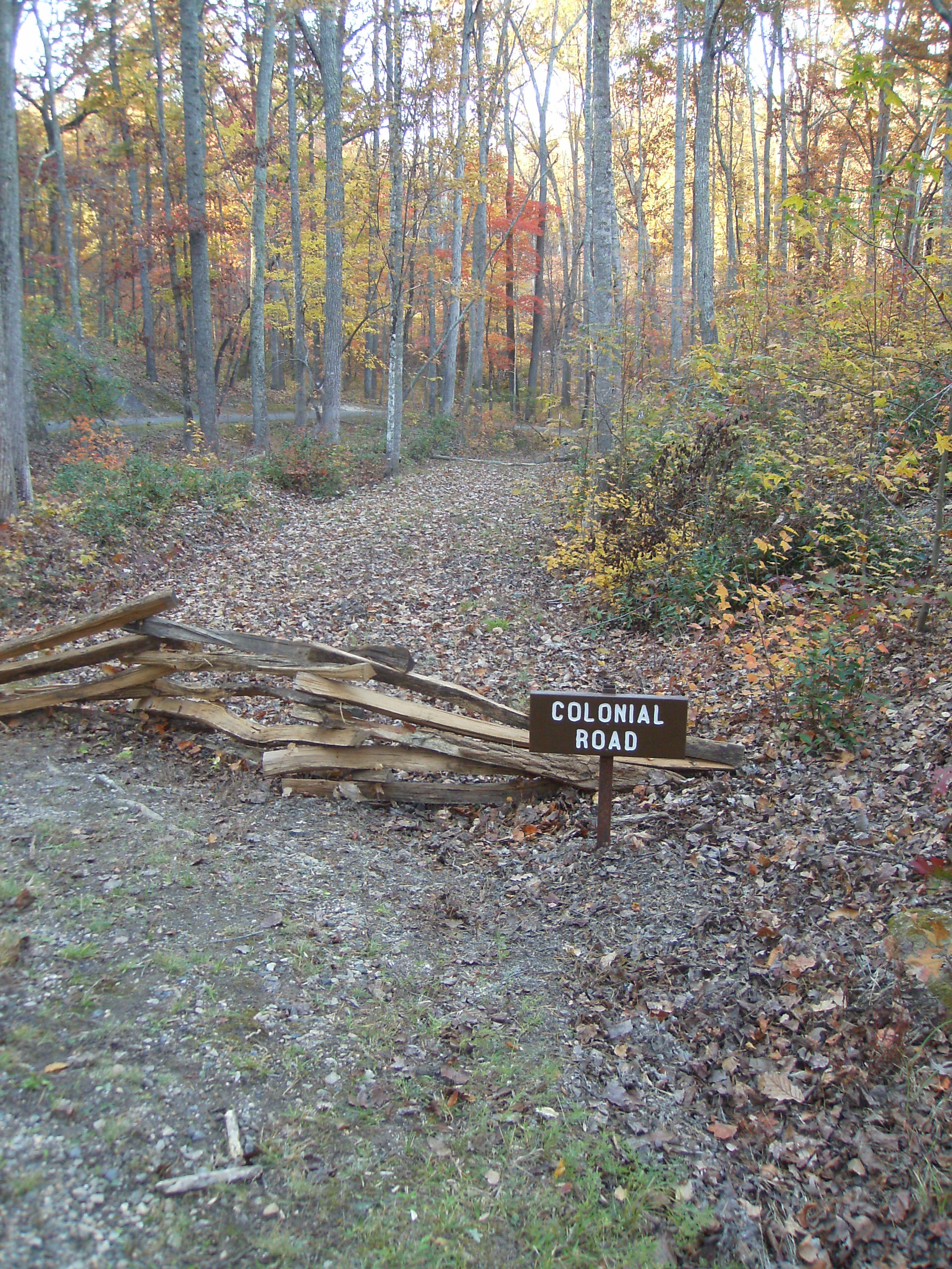 SANYO DIGITAL CAMERA