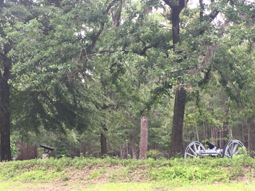 Moores Creek-cannons