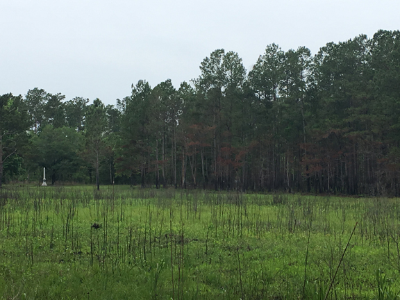 Moores Creek-Moore monument