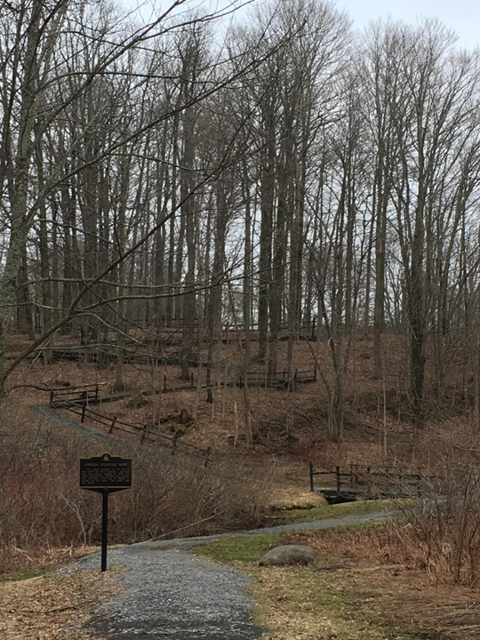 05-Eastern Bank of Ravine