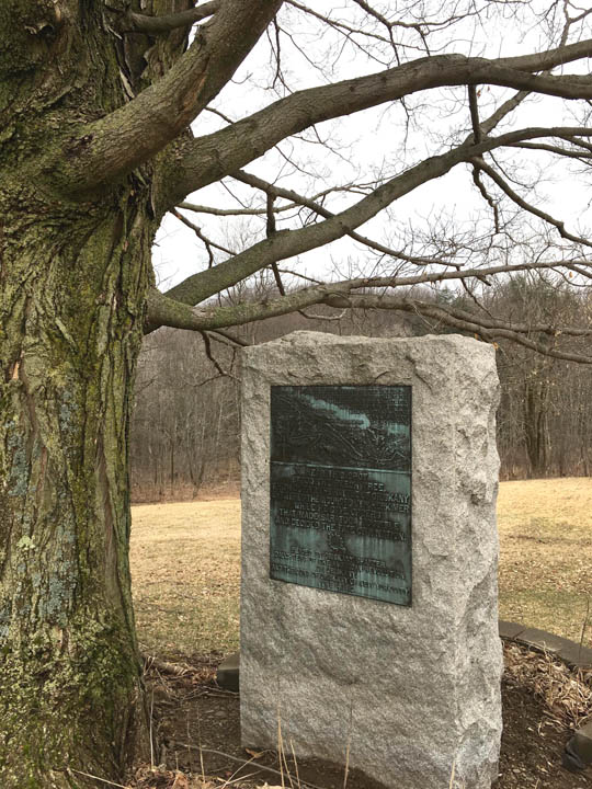 06-Herkimer's Tree copy